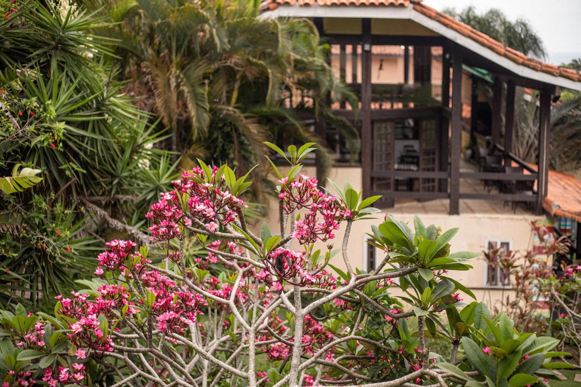 Hibiscus Beach Búzios Exterior foto